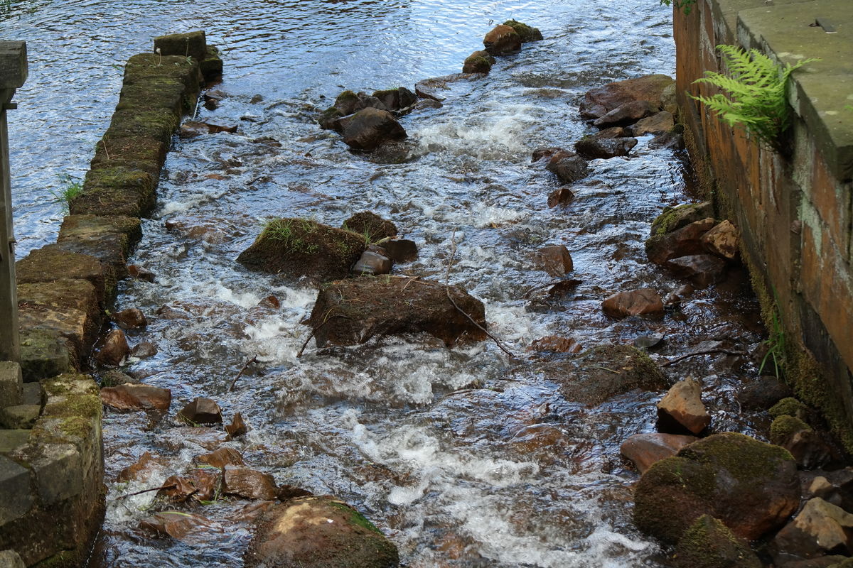 Testtitel Test Alt Text